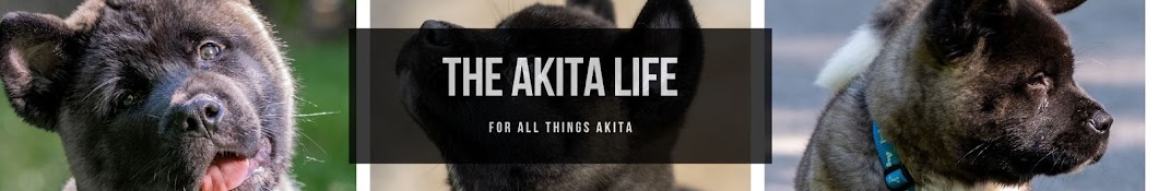 The Akita Life Banner