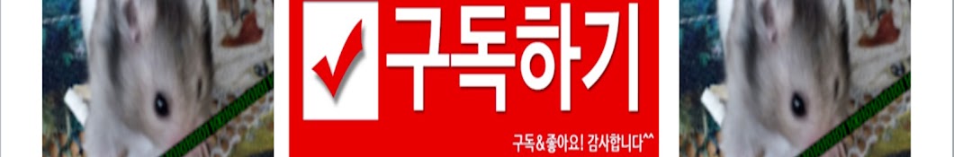 햄귀싱