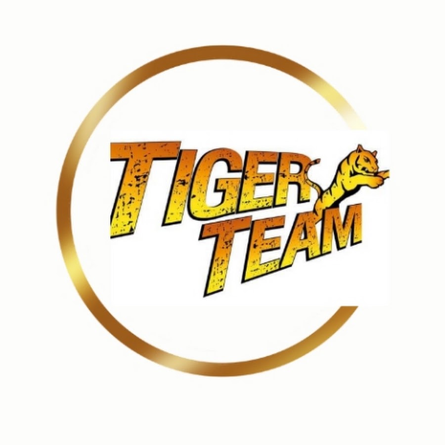 Tiger Team Synonym