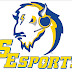 SEsports