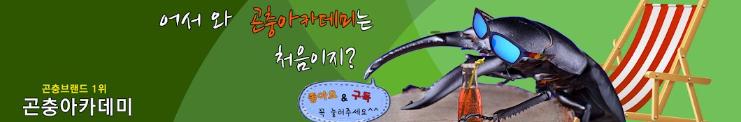 곤충아카데미