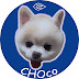 초코CHOco