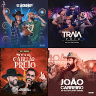 sertanejo top