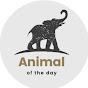 Animal Of The Day