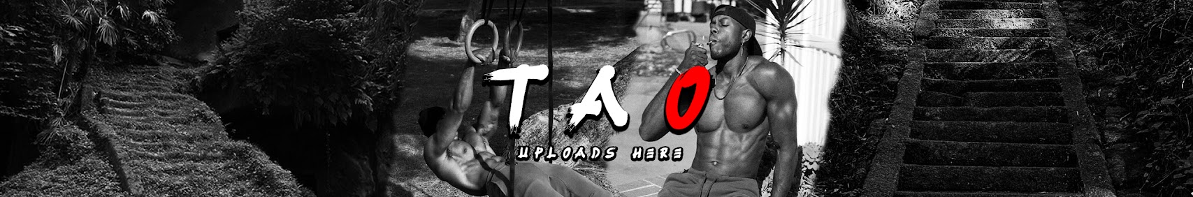 Tao Physique