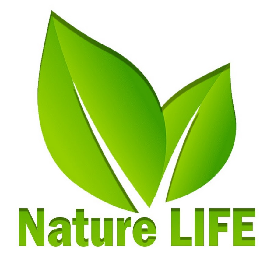 Nature LIFE - YouTube Nature LIFE