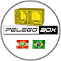 PELEGO BOX PROJETOS 3D