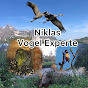 Niklas Vogel Experte