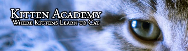 Kitten Academy