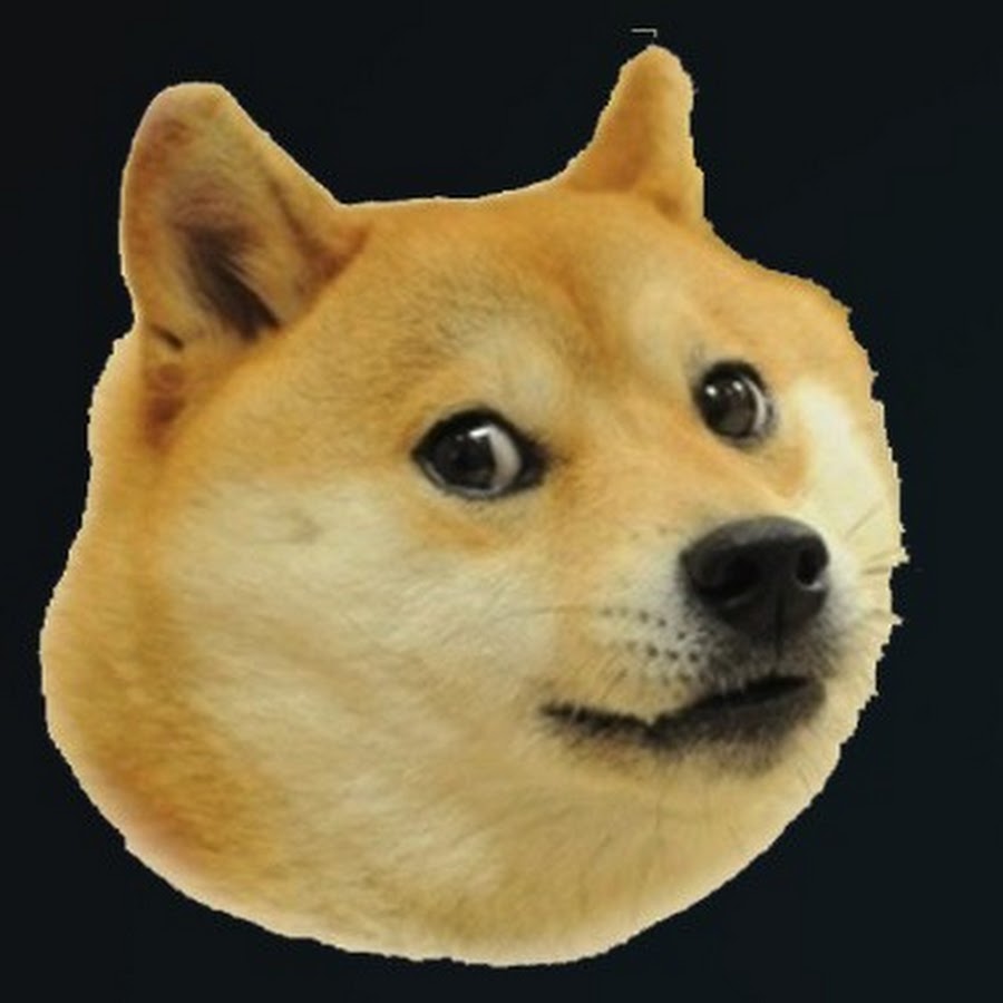 сиба ину doge