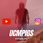 Ucmpigs