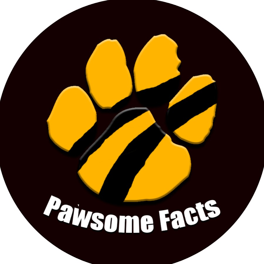 Pawsome Facts