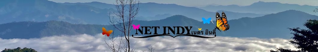 Net Indy