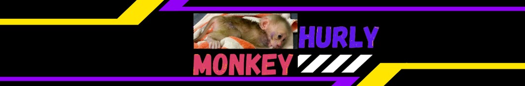Hurly Monkey Banner