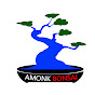 Amonk Bonsai