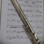 Larissa Carvalho Flute