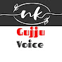 NK Gujju Voice