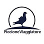 Piccione Viaggiatore