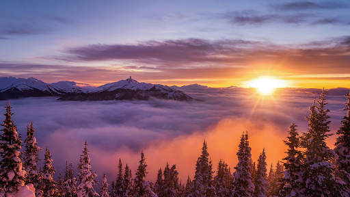 Banner image for Whistler Blackcomb