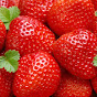 STRAWBERRY - FRUITS VARIETIES 