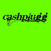 logo prod.cashplugg