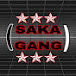 Saka Gang Tizit