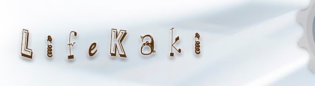 LifeKaki - Crafts