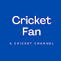 Cricket Fan