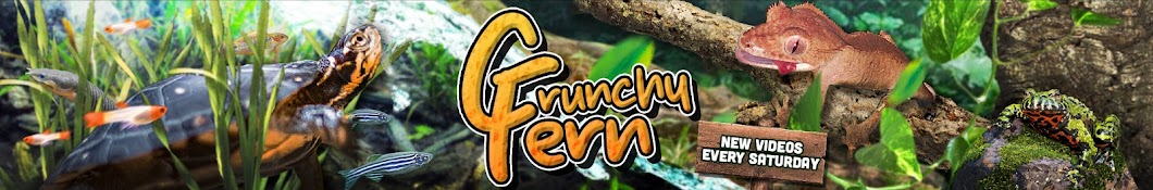 Crunchy Fern