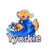 logo Yyorkie