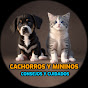 Cachorros y Mininos