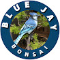 Blue Jay Bonsai