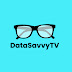 logo Data Savvy TV