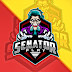 SENATOR PLAY