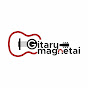 Gitarų Magnetai