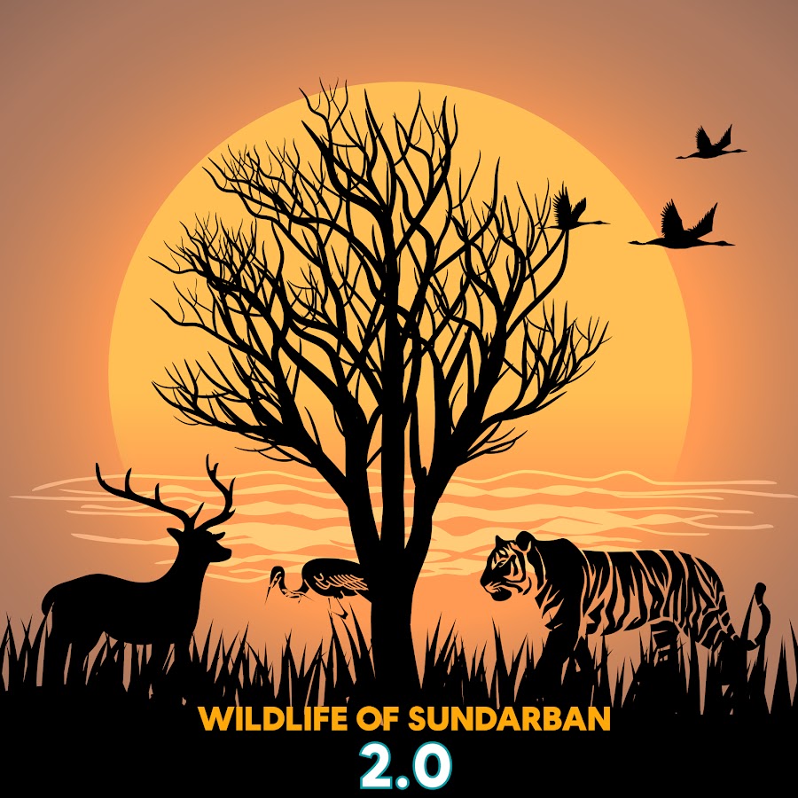 WILD LIFE OF SUNDARBAN 2.0