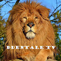 Ddentale TV