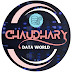 logo Chaudhary Data World