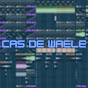 Cas De Waele