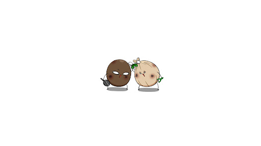 배너 이미지