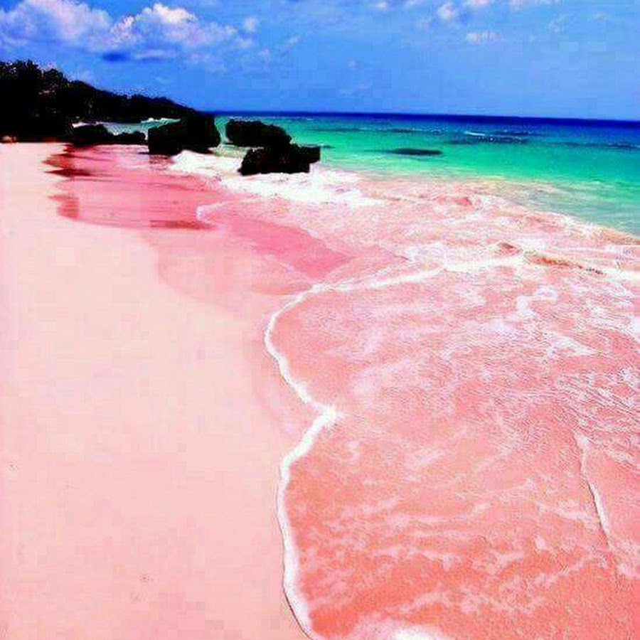 багамы пляж розовых песков