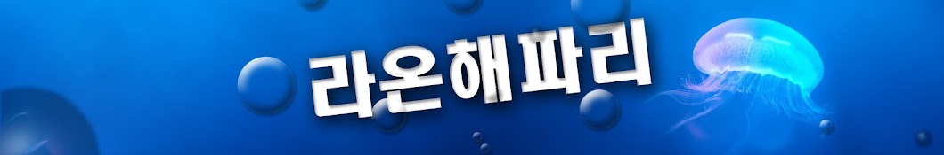 라온해파리