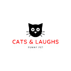 Cats And Laughs