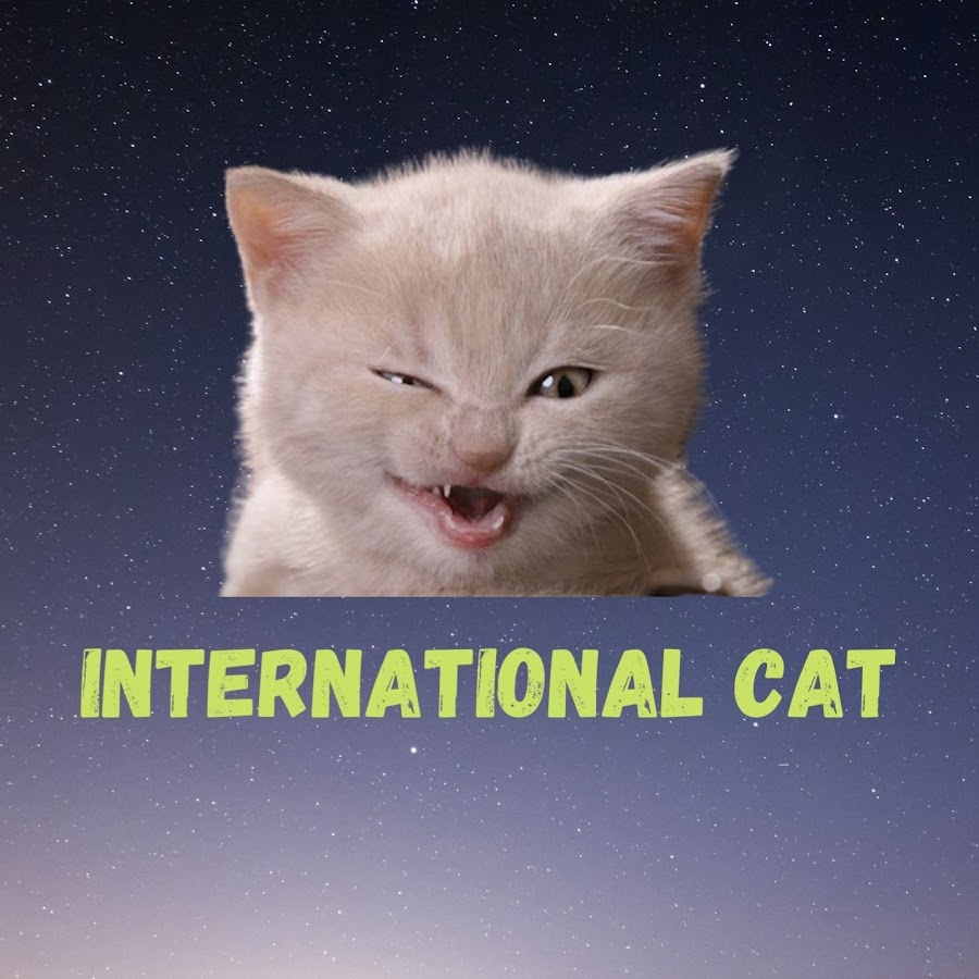 International Cat