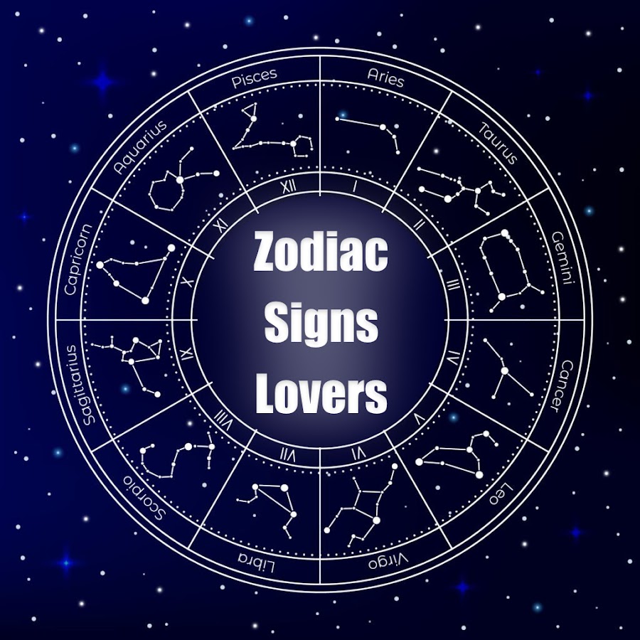 Concordam? #zodiacsigns #signs #astrologia #fyp #foryou #horoscope