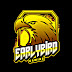 logo Early Bird Gaming