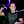 raulbartender avatar
