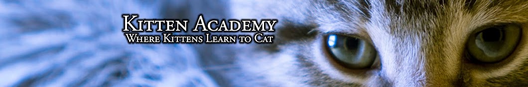 Kitten Academy Banner