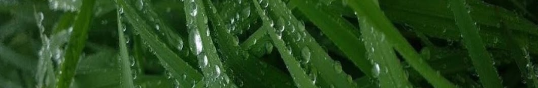 sgpwes Banner