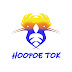 Hoopoe Tok || هدهد توك